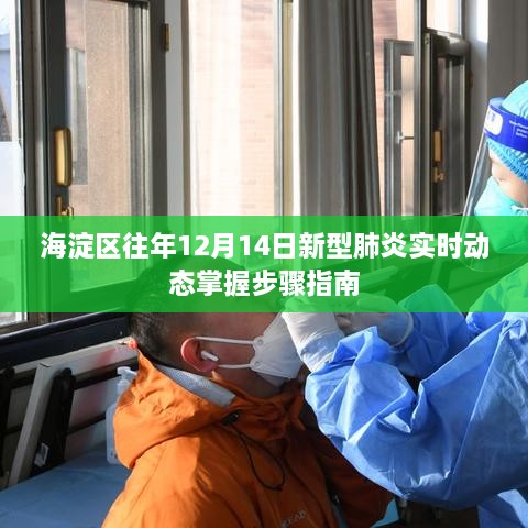 海淀区往年12月14日新型肺炎实时动态监测与应对策略指南