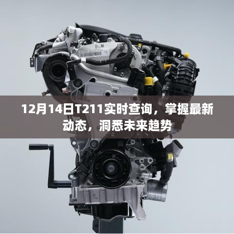 12月14日T211实时查询，最新动态与未来趋势洞悉