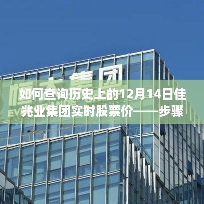 佳兆业集团股票历史查询，掌握如何查询历史上的股票实时价格（步骤指南）