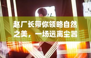 赵厂长带你走进自然秘境，心灵之旅的纯净之地，实时报道2024年12月14日