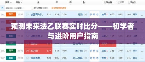 初学者与进阶用户指南，预测法乙联赛实时比分攻略