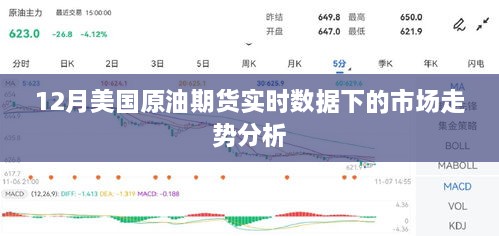 12月美国原油期货市场走势实时解析