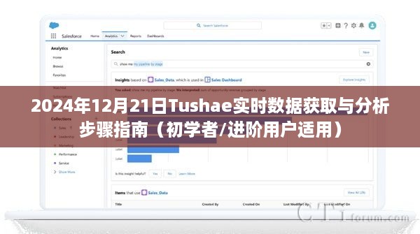 初学者与进阶用户指南，获取并分析Tushae实时数据的步骤（2024年12月21日版）