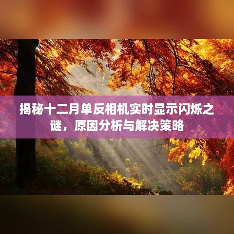 揭秘十二月单反相机实时显示闪烁之谜，原因分析及解决策略