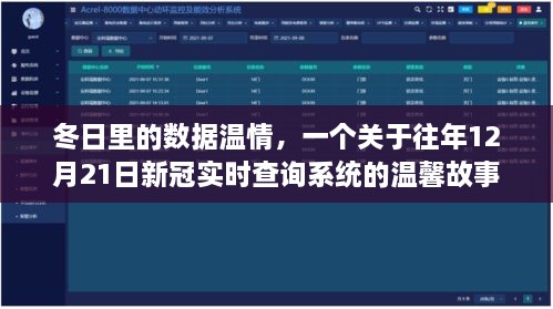 冬日数据温情，新冠实时查询系统的温馨故事