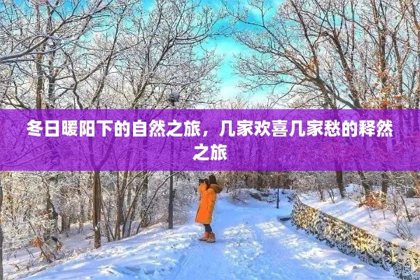 冬日暖阳下的释然之旅，自然与情感的交织