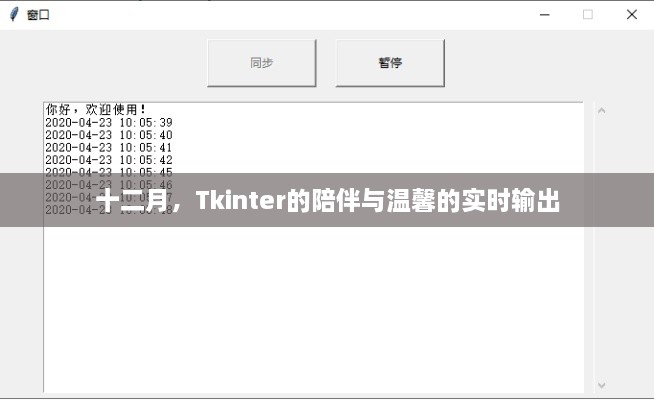 十二月，Tkinter的温馨陪伴与实时互动体验