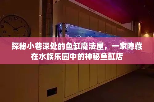 探秘水族乐园中的神秘鱼缸店，小巷深处的魔法屋