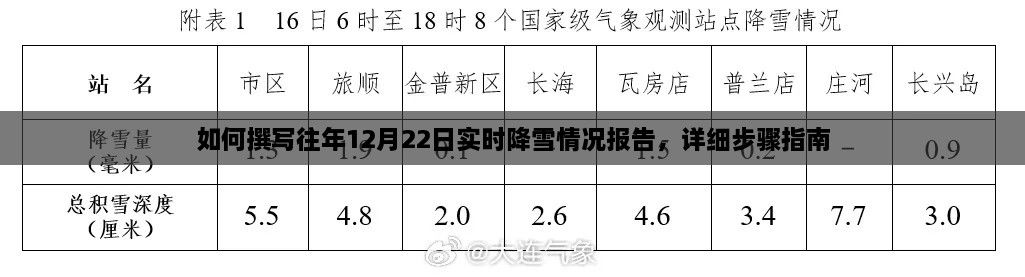 撰写往年12月22日实时降雪情况报告的详细步骤指南