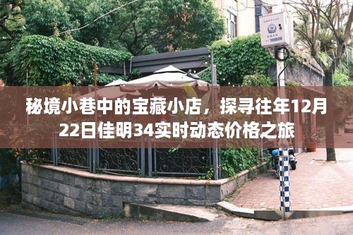 秘境小巷宝藏小店探寻佳明34实时动态价格之旅