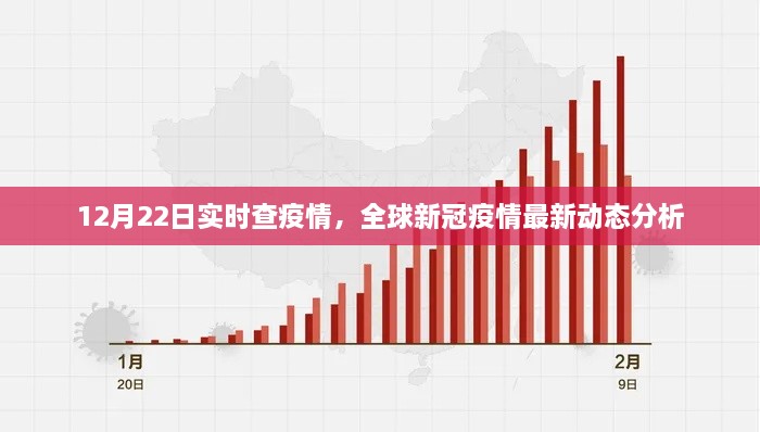 全球新冠疫情最新动态分析，实时查疫情至十二月二十二日