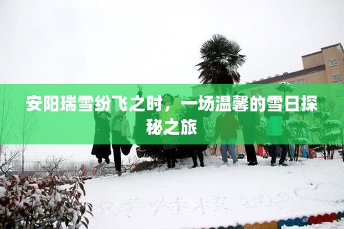 安阳瑞雪纷飞的温馨雪日探秘之旅