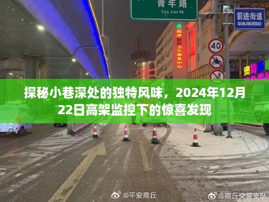 高架监控下的惊喜，小巷深处的独特风味探秘之旅，2024年12月22日