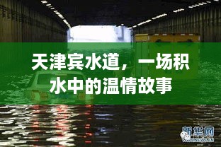 天津宾水道，积水中的温情纪事