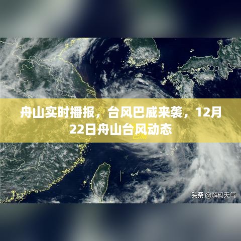 舟山实时播报，台风巴威来袭，最新台风动态（12月22日）