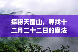 探秘天崮山，十二月二十二日的魔法客流量揭秘