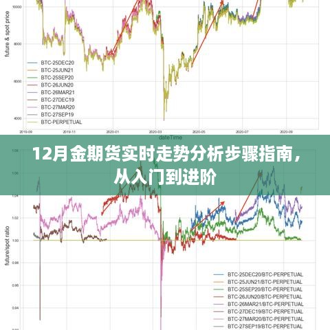 从入门到进阶，12月金期货实时走势分析步骤指南