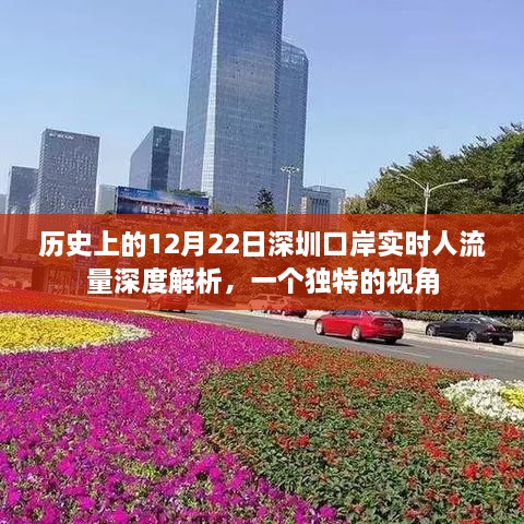 深圳口岸历史上的特殊日子，深度解析12月22日实时人流量背后的故事