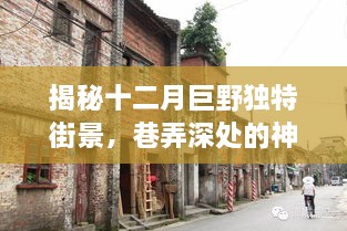 揭秘十二月巨野独特街景，巷弄深处的神秘小店风情之旅