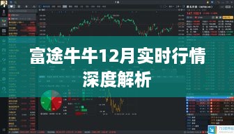 富途牛牛12月实时行情深度解读与解析