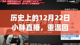 历史上的小胖直播，重温回放探寻背后的故事与影响