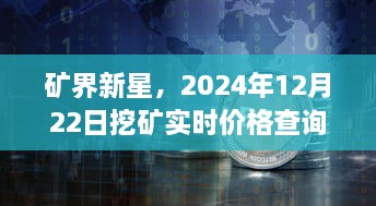 矿界新星，全面评测与介绍挖矿实时价格查询网站（2024年12月22日）