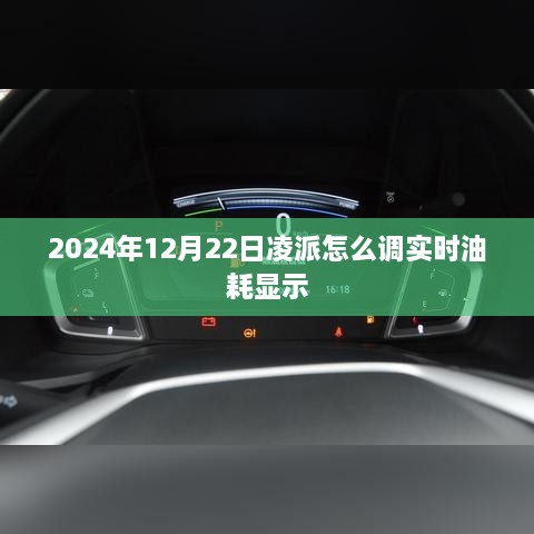 凌派实时油耗调整方法，2024年操作指南