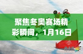 聚焦冬奥赛场精彩瞬间，1月16日冬奥比赛时间回顾