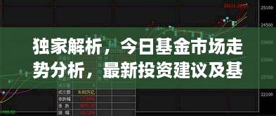 独家解析，今日基金市场走势分析，最新投资建议及基金动态