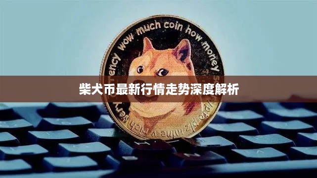 柴犬币最新行情走势深度解析