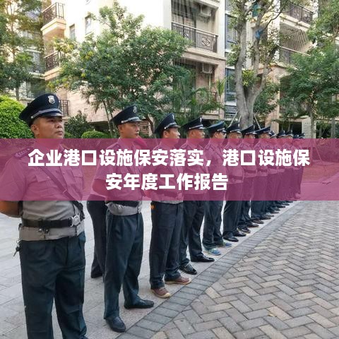 企业港口设施保安落实，港口设施保安年度工作报告 