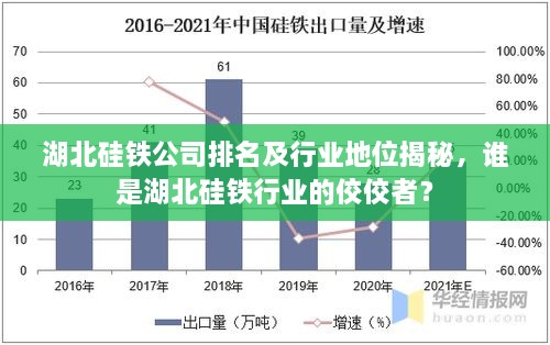 湖北硅铁公司排名及行业地位揭秘，谁是湖北硅铁行业的佼佼者？