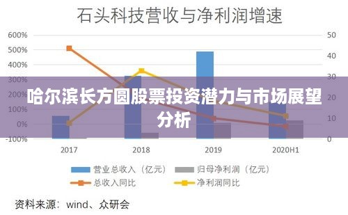 哈尔滨长方圆股票投资潜力与市场展望分析