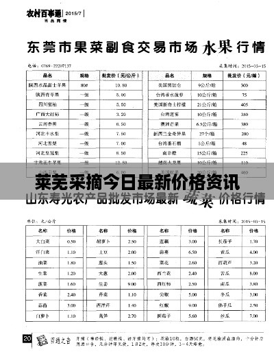 莱芜采摘今日最新价格资讯