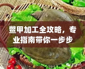 鳖甲加工全攻略，专业指南带你一步步了解