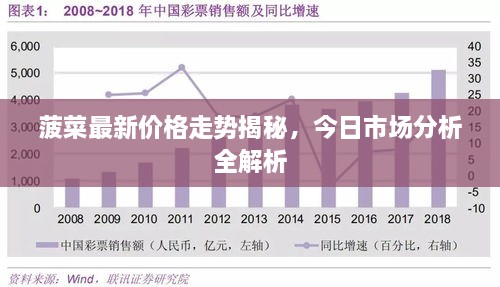 菠菜最新价格走势揭秘，今日市场分析全解析