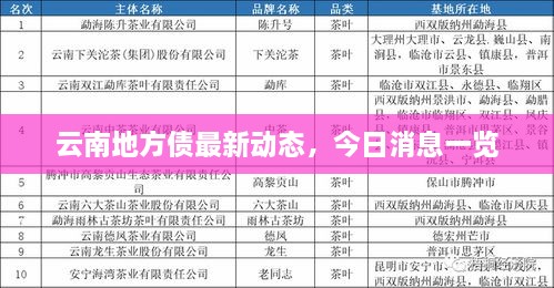 云南地方债最新动态，今日消息一览