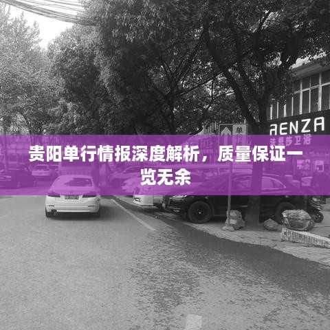 贵阳单行情报深度解析，质量保证一览无余