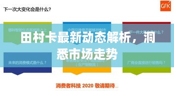 田村卡最新动态解析，洞悉市场走势