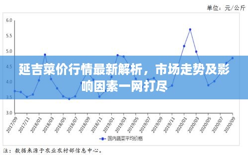 延吉菜价行情最新解析，市场走势及影响因素一网打尽