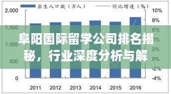 阜阳国际留学公司排名揭秘，行业深度分析与解读