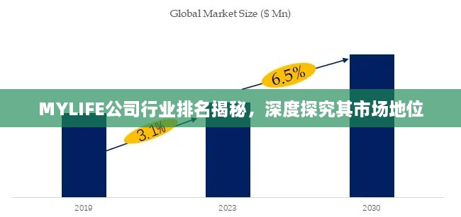 MYLIFE公司行业排名揭秘，深度探究其市场地位