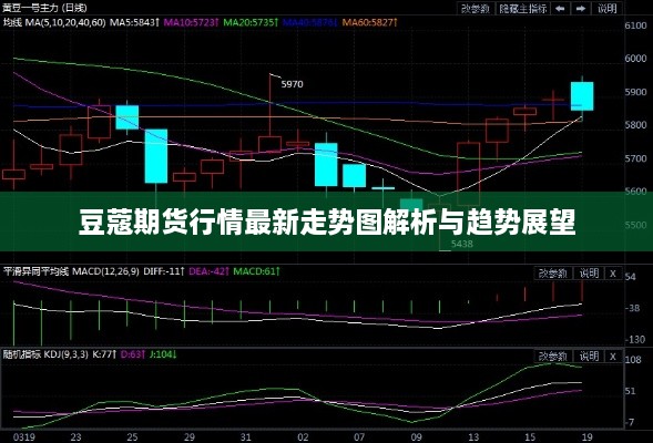 豆蔻期货行情最新走势图解析与趋势展望