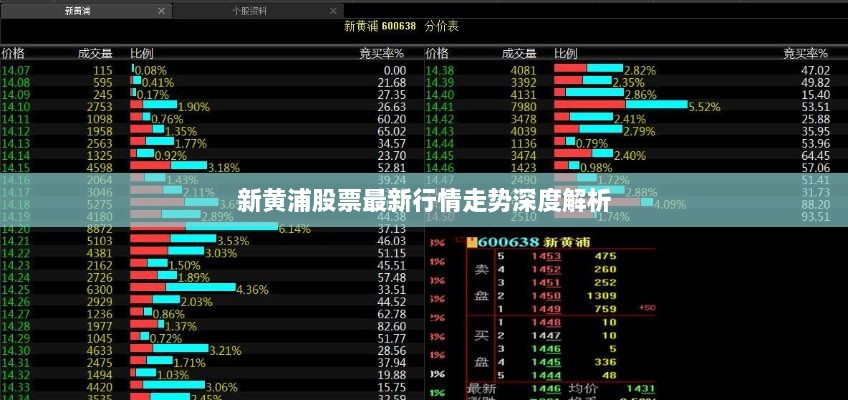 新黄浦股票最新行情走势深度解析