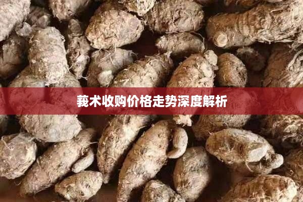 莪术收购价格走势深度解析