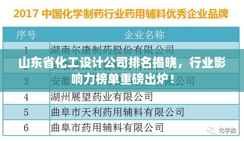 山东省化工设计公司排名揭晓，行业影响力榜单重磅出炉！