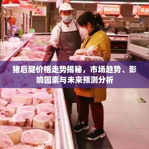 猪后腿价格走势揭秘，市场趋势、影响因素与未来预测分析