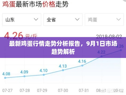 最新鸡蛋行情走势分析报告，9月1日市场趋势解析