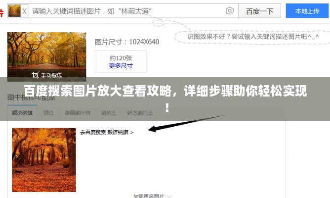 百度搜索图片放大查看攻略，详细步骤助你轻松实现！