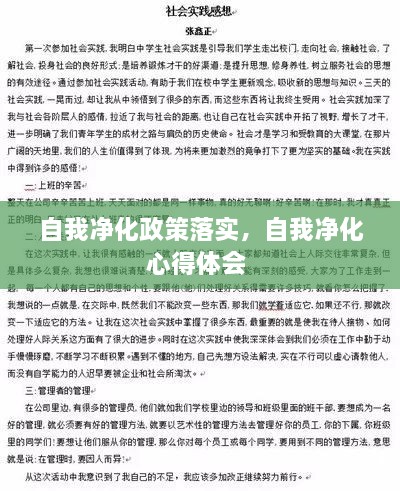 自我净化政策落实，自我净化心得体会 